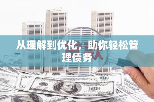 昭苏从理解到优化，助你轻松管理债务