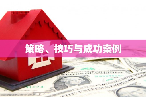 昭苏策略、技巧与成功案例