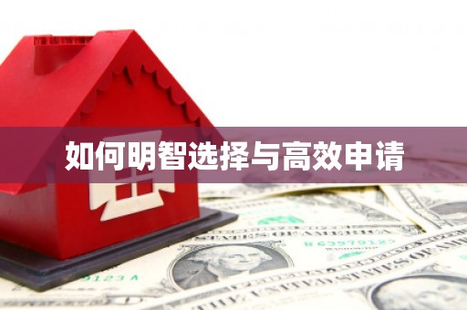 昭苏如何明智选择与高效申请