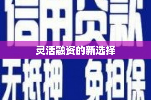 昭苏灵活融资的新选择