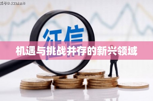 昭苏机遇与挑战并存的新兴领域
