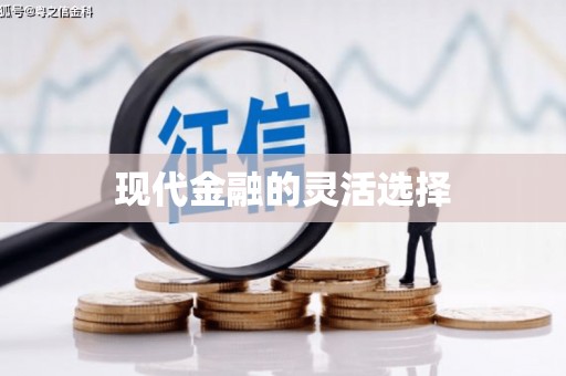 昭苏现代金融的灵活选择