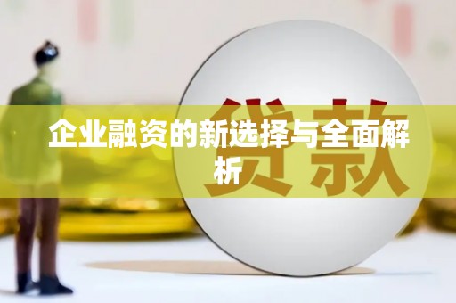 昭苏企业融资的新选择与全面解析