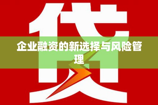 昭苏企业融资的新选择与风险管理