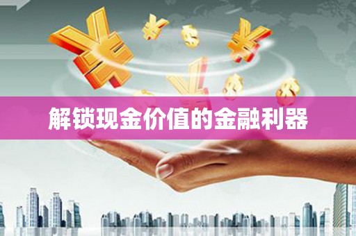 昭苏解锁现金价值的金融利器