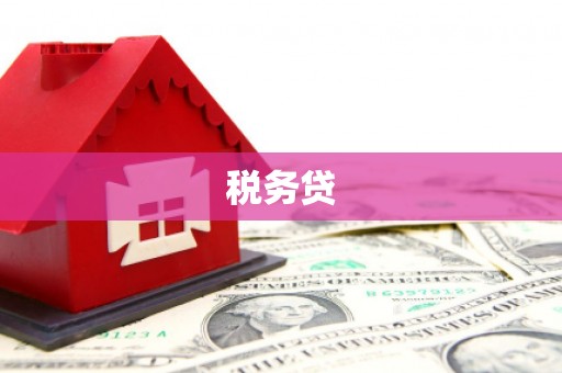 昭苏税务贷