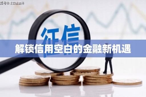 昭苏解锁信用空白的金融新机遇