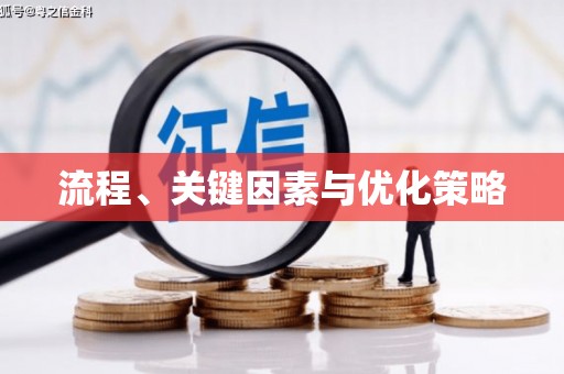 昭苏流程、关键因素与优化策略