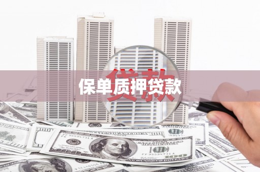 昭苏保单质押贷款