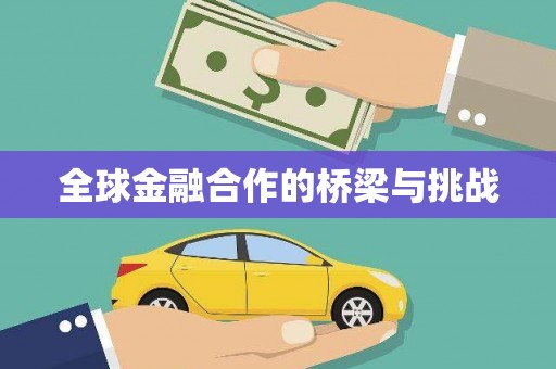 昭苏全球金融合作的桥梁与挑战