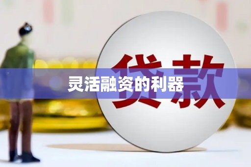 昭苏灵活融资的利器