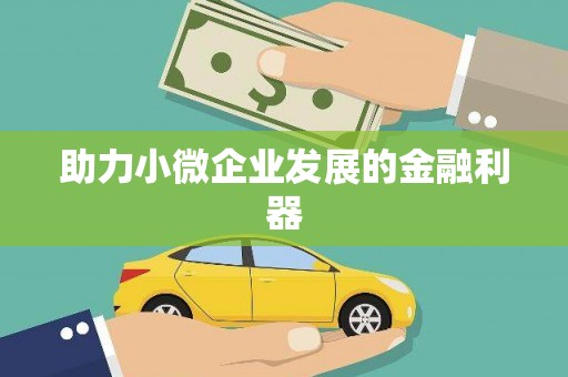 昭苏助力小微企业发展的金融利器