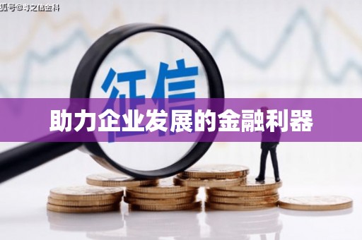 昭苏助力企业发展的金融利器