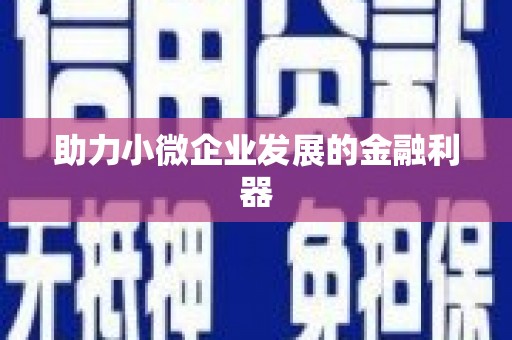 昭苏助力小微企业发展的金融利器
