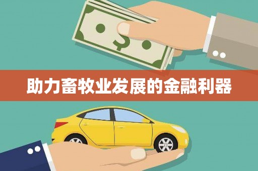 昭苏助力畜牧业发展的金融利器