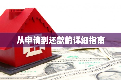昭苏从申请到还款的详细指南