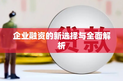 昭苏企业融资的新选择与全面解析