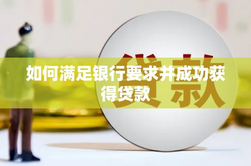 昭苏如何满足银行要求并成功获得贷款