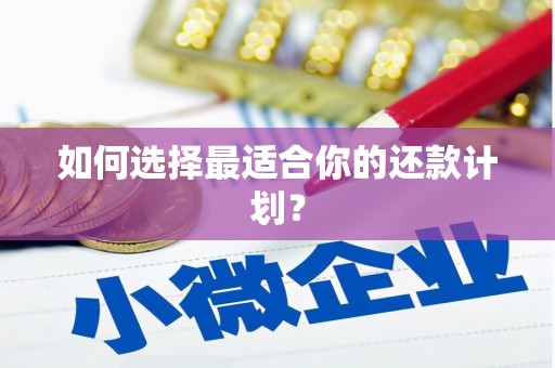 昭苏如何选择最适合你的还款计划？