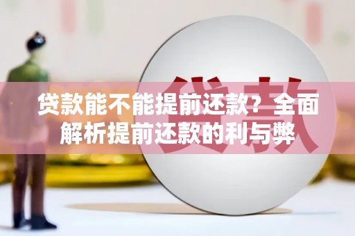 昭苏贷款能不能提前还款？全面解析提前还款的利与弊