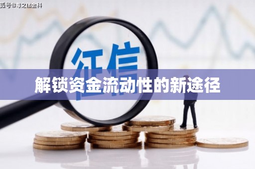昭苏解锁资金流动性的新途径