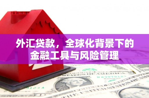 昭苏外汇贷款，全球化背景下的金融工具与风险管理