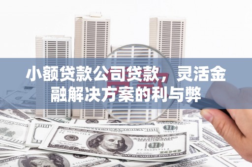 昭苏小额贷款公司贷款，灵活金融解决方案的利与弊