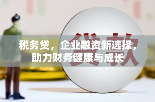 昭苏税务贷，企业融资新选择，助力财务健康与成长