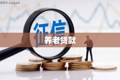 昭苏养老贷款