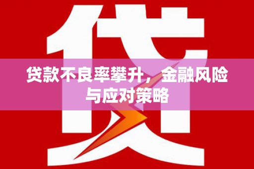昭苏贷款不良率攀升，金融风险与应对策略