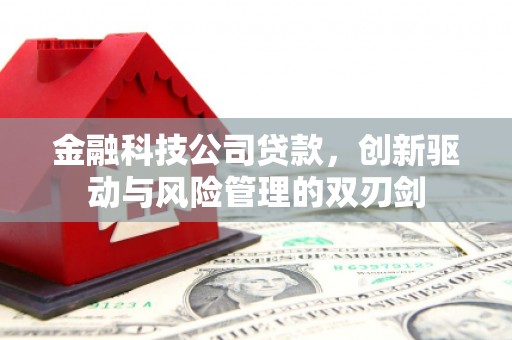 昭苏金融科技公司贷款，创新驱动与风险管理的双刃剑