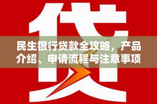 昭苏民生银行贷款全攻略，产品介绍、申请流程与注意事项