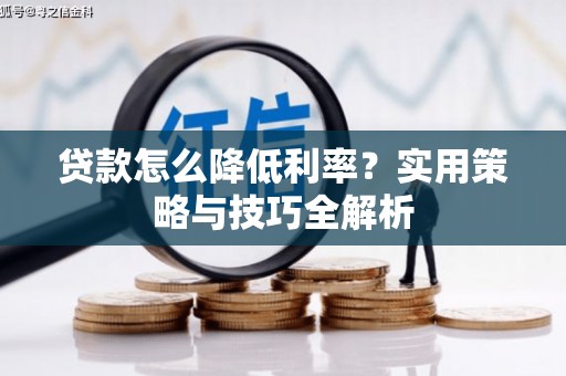 昭苏贷款怎么降低利率？实用策略与技巧全解析